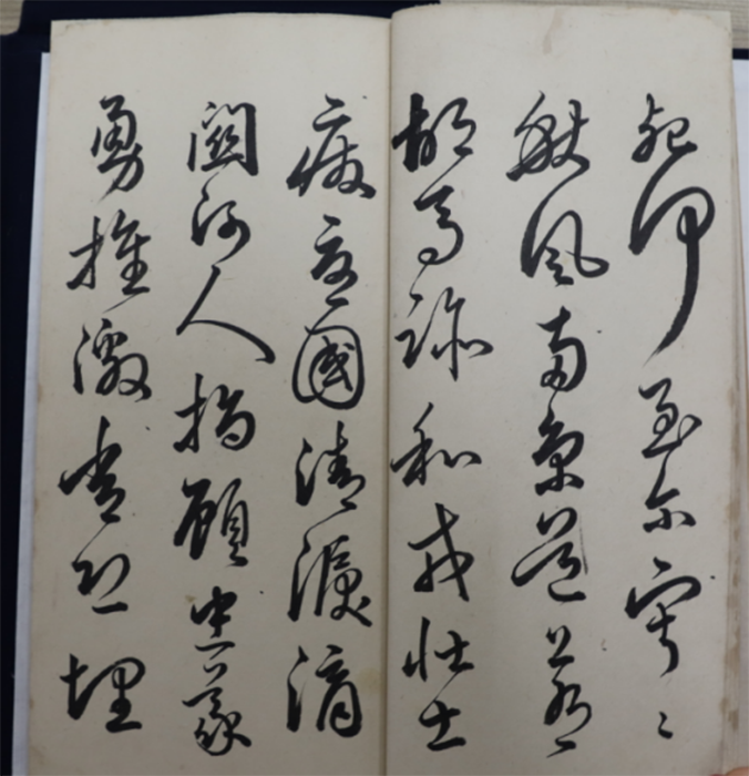资讯